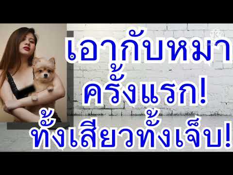 เรื่องเล่า เรื่องสั้น นิยายเสียง น้องหมาของหนู จบในตอน 17/25/2021