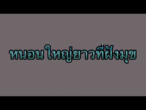 เรื่องสั้น เล่าเรื่องเสียว : หนอนใหญ่ยาวที่ฝังมุข