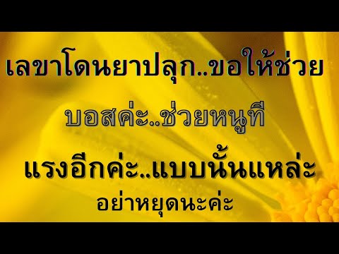 นิยายเรื่องสั้น เลขาโดนยาปลุก..
